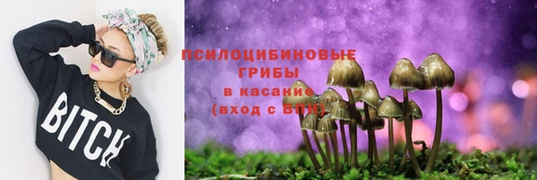 амф Алексеевка