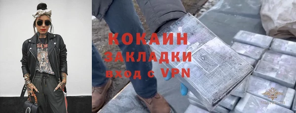шишки Алзамай