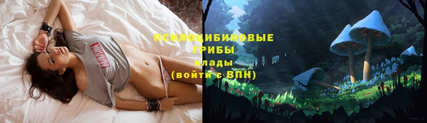 амф Алексеевка