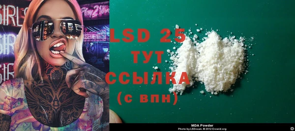 шишки Алзамай